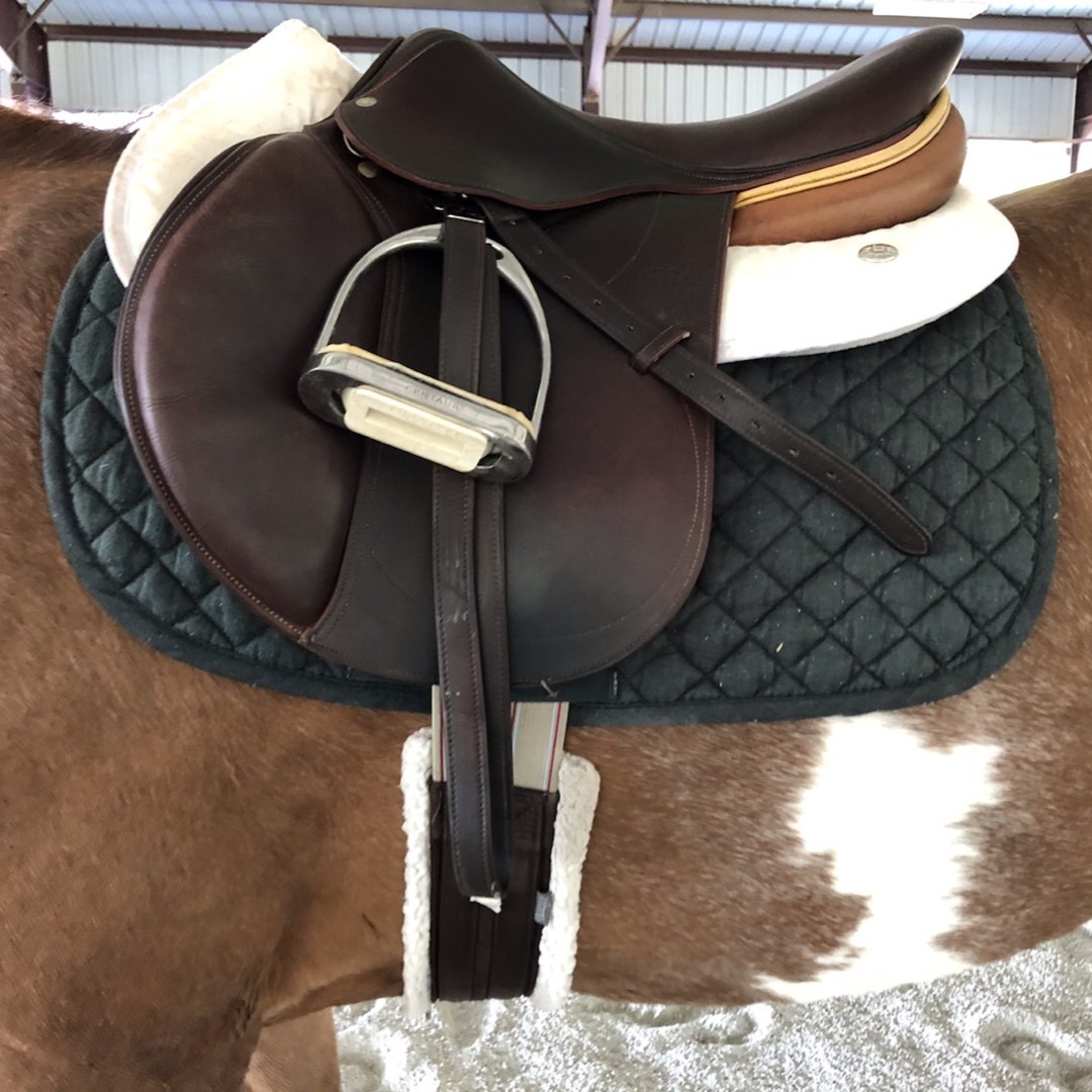 Horse Tack Sales Near Me at Earl Knight blog